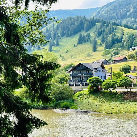 Piatra Codrilor Hotell Dorna Arini Exteriör bild