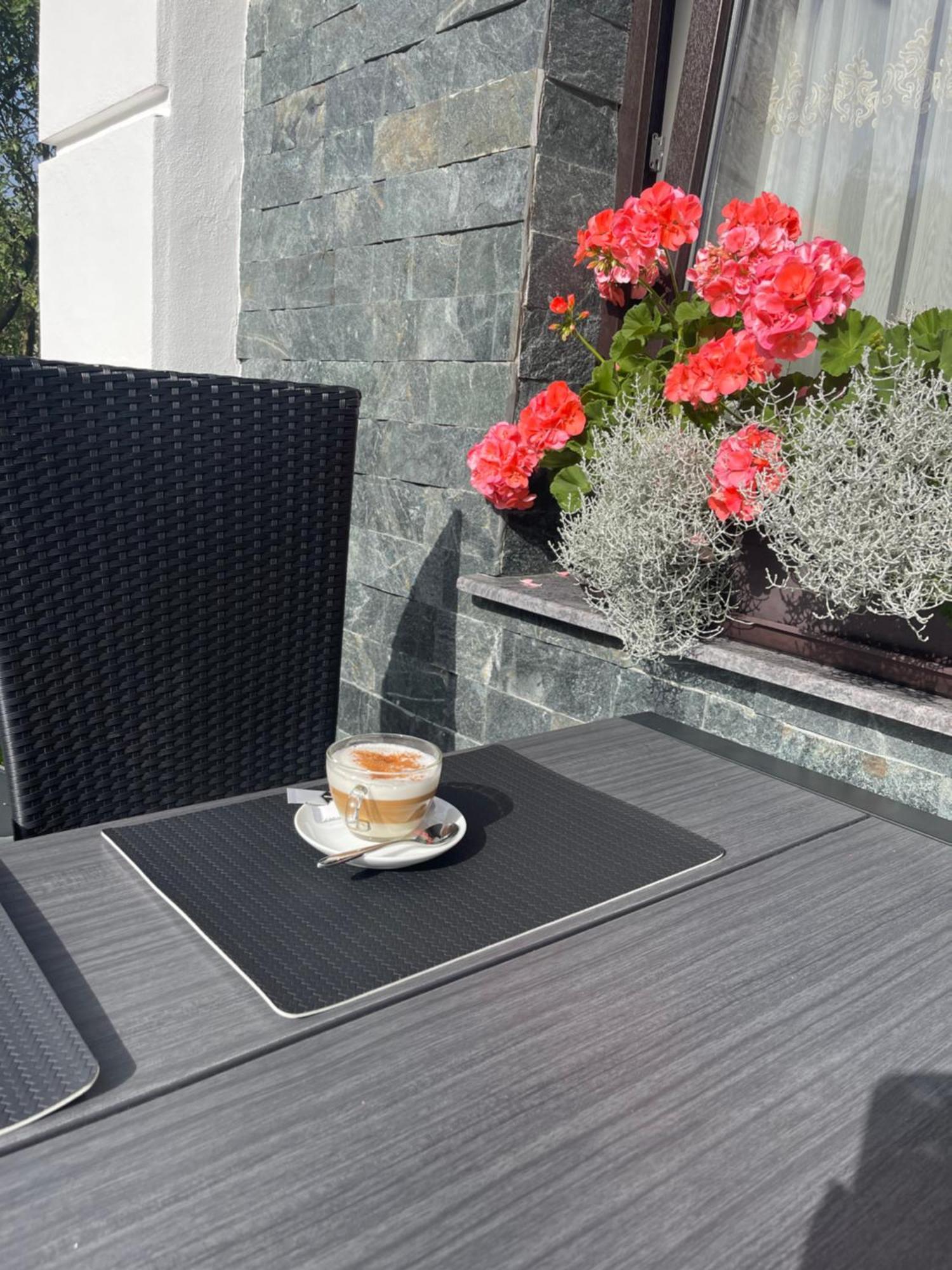 Piatra Codrilor Hotell Dorna Arini Exteriör bild